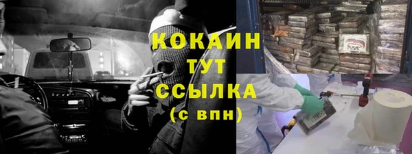 шишки Белоозёрский