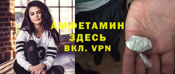 шишки Белоозёрский