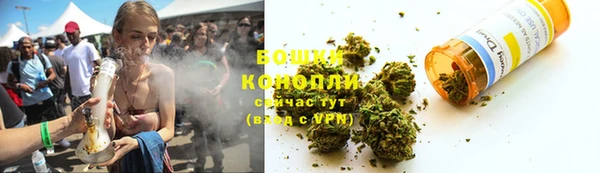 шишки Белоозёрский
