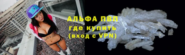 ПСИЛОЦИБИНОВЫЕ ГРИБЫ Белокуриха