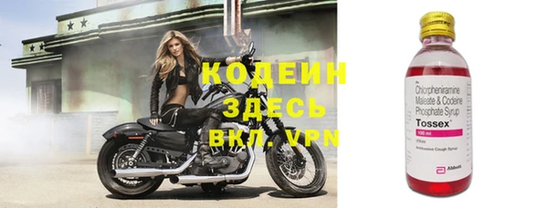 шишки Белоозёрский