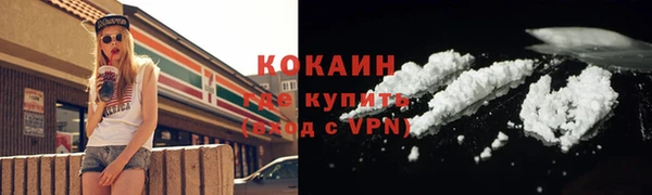шишки Белоозёрский