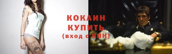 ПСИЛОЦИБИНОВЫЕ ГРИБЫ Белокуриха