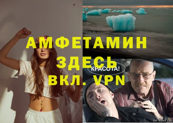 шишки Белоозёрский