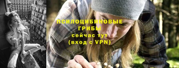 шишки Белоозёрский