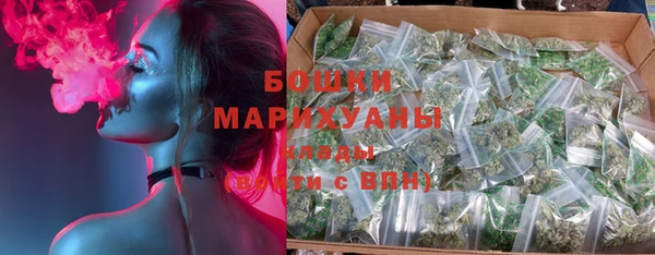 шишки Белоозёрский