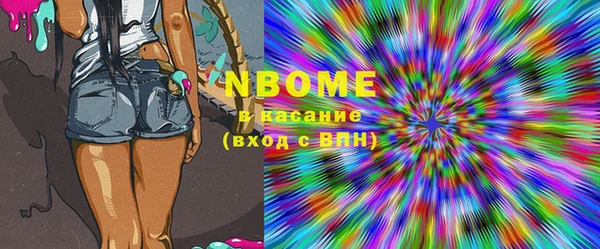 шишки Белоозёрский