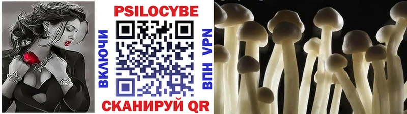 Галлюциногенные грибы Psilocybe  нарко площадка официальный сайт  Верхний Уфалей 