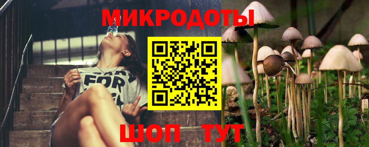 Галлюциногенные грибы ЛСД  Галлюциногенные грибы Psilocybe  цена   Верхний Уфалей 