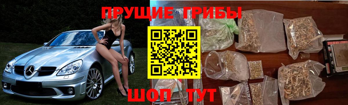 Псилоцибиновые грибы ЛСД  Вход с VPN  Верхний Уфалей  Псилоцибиновые грибы мухоморы 