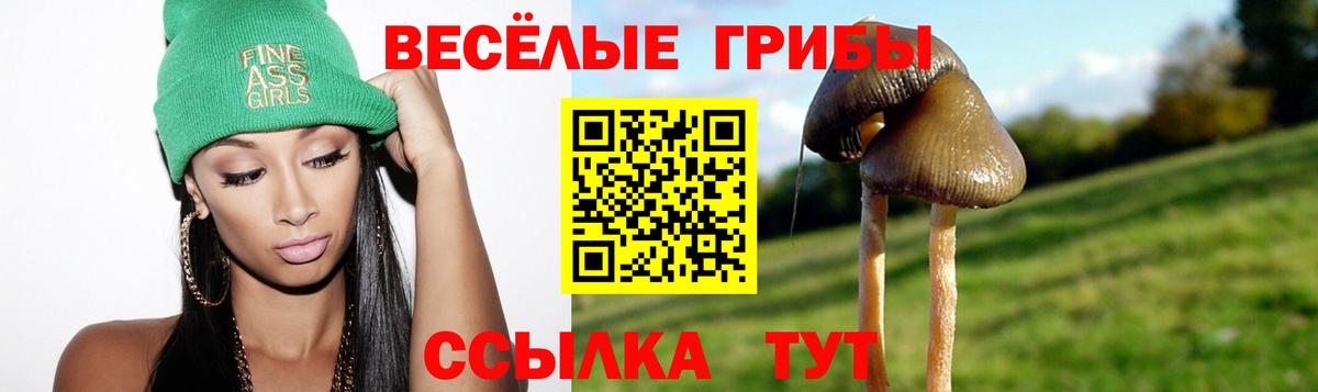 Псилоцибиновые грибы мицелий Верхний Уфалей